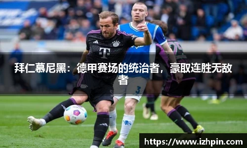雷火电竞官方网站入口